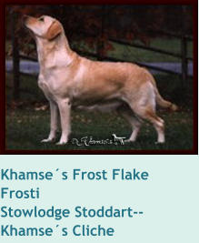 Khamse´s Frost Flake   FrostiStowlodge Stoddart--Khamse´s Cliche